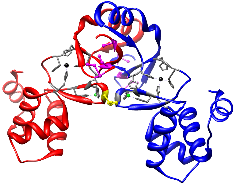 Nickel Uptake Regulator