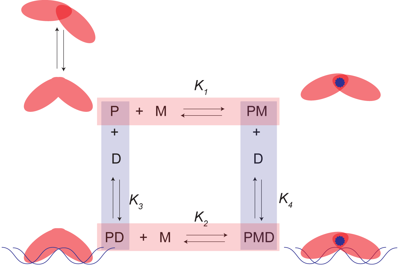 Coupling Scheme