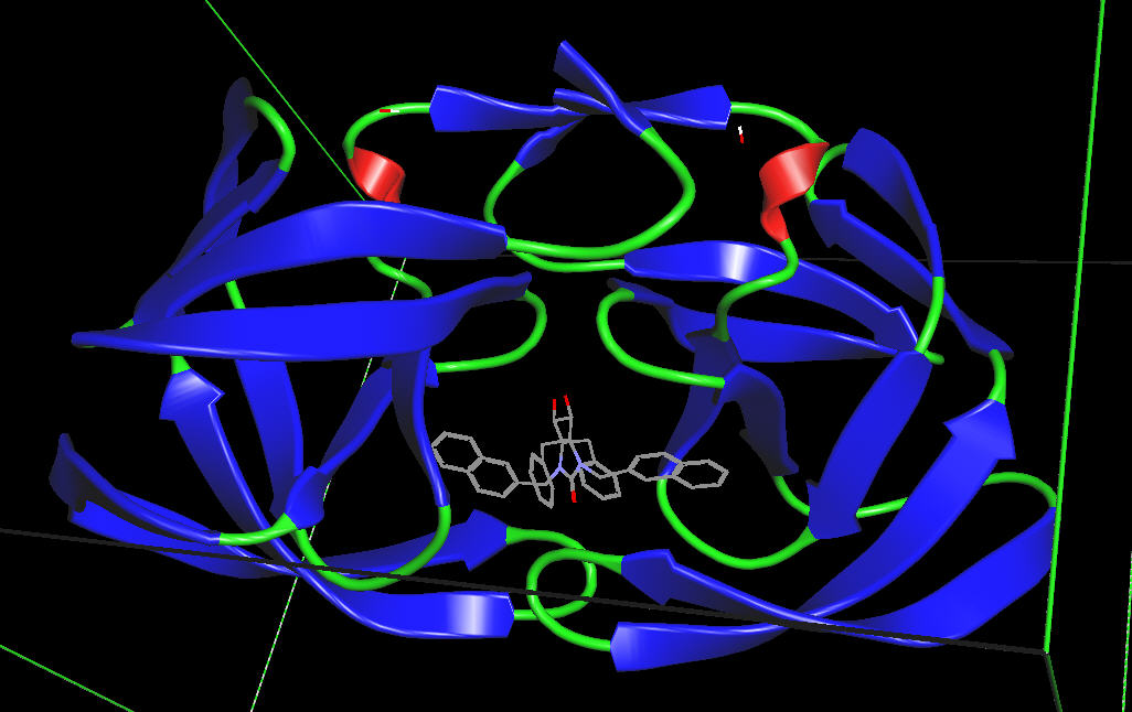 1hvr_inhibitor_bound