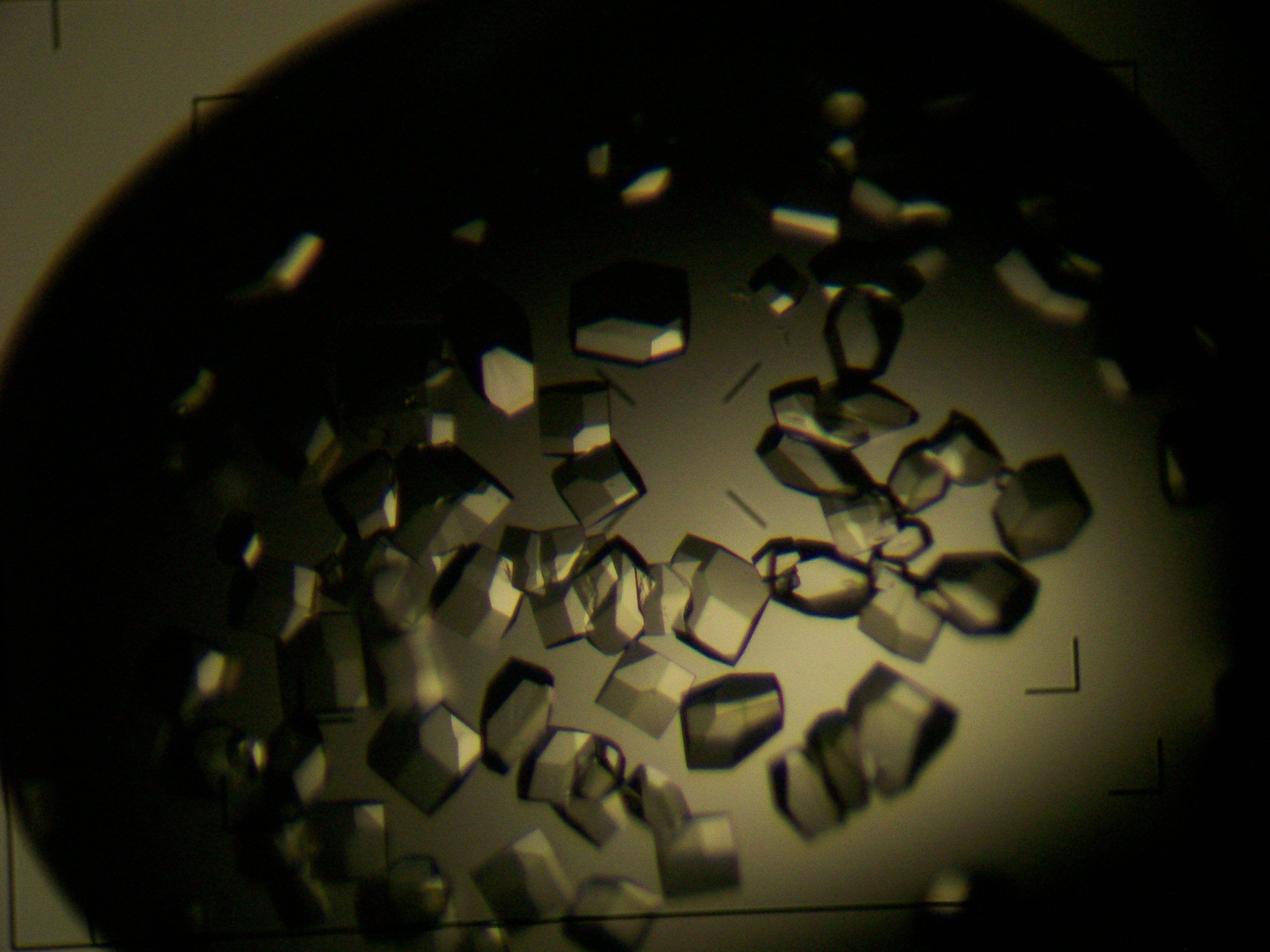 lysozyme_crystal