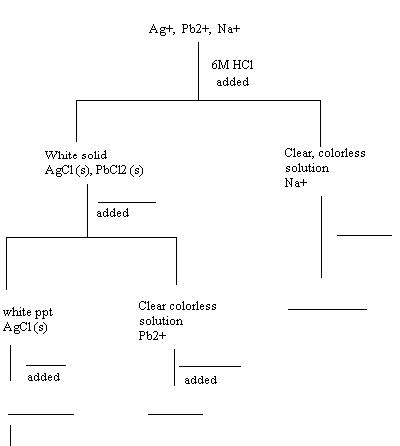 Cation Analysis Flow Chart